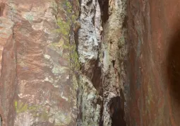  Domenica 6 novembre si replica con un nuovo tandem: collegata alla mostra sarà la visita guidata alle cave di alabastro rosa di Busca, suggestivi canyon sulla collina, nella zona dell’Eremo di Belmonte. Informazioni: 371 5420603